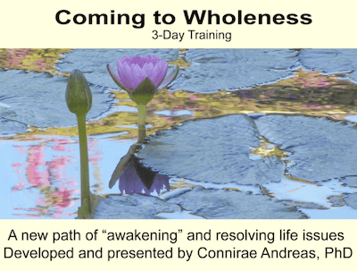 Connirae Andreas - 3-day Wholeness Training