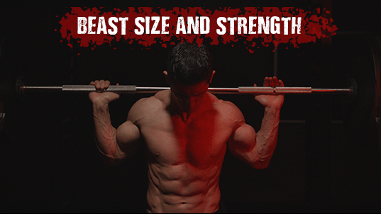  /></h4><h4>4-HYPERTROPHY FOCUSED STAGES</h4><p>12 Weeks of Total Body Mass / Strength Building Workouts.</p><h4><img src=