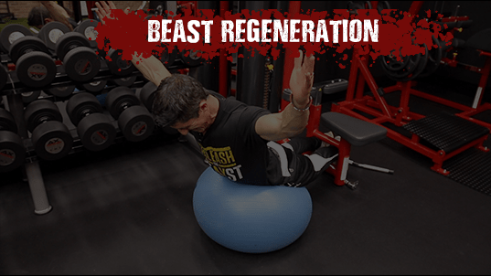  /></h4><h4>BEAST REGENERATION</h4><p>Serious training requires serious recovery. BEAXST features a combo of conditioning mixed with correctives to speed the recovery process.</p><p>— THE ALL NEW —</p><h3>BEAT THE BEAST CHALLENGES</h3><p>If you want to be the best, you have to beat the best. The same applies to earning the title of Total Beast. All new “Beat The Beast Challenges” give you a chance to see how you stack up to the some of today’s elite level athletes. Each stage of TOTAL BEAXST ends with a challenge from some certified bad asses. You wanna be a beast? Then see if you can beat the beasts!<br />You’ll be lucky if you can even keep up!</p><h3>FEED THE BEAST</h3><p>If there’s anything we know at ATHLEAN-X, it’s how to turn skinny guys into muscle building machines and the X-Factor Meal Plan has been the foundation of that plan since Day 1. Our all new Size Swaps will help hardgainers learn to eat right to build muscle, while the classic X-Factor foundation plan will help veteran athletes continue to build muscle without adding any unwanted fat.</p><ul><li>DAY-BY-DAY MEAL PLAN</li><li>SUPPLEMENTATION GUIDE</li><li>EASY TO FOLLOW, MEALS THAT PRODUCE RESULTS!</li></ul><p>NEVER COUNT A CALORIE, MEASURE OR OBSESS… AND STILL GET RIPPED</p><h3 style=